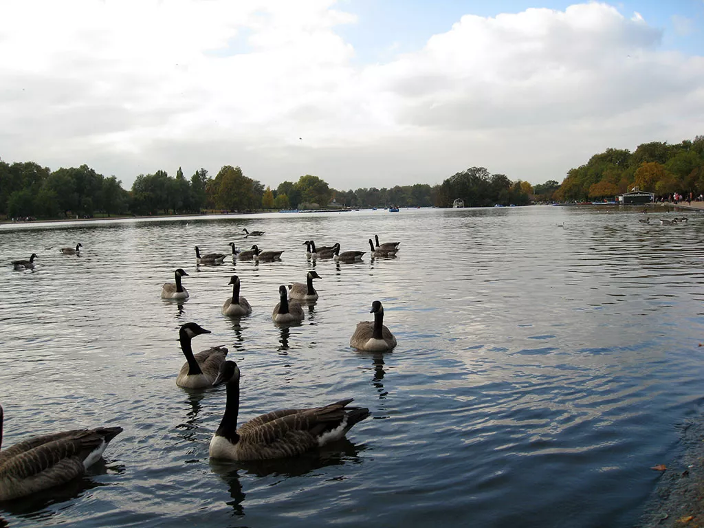 Visitar el famoso parque Hyde Park de Londres